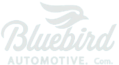 Blue Bird Automotive Idea